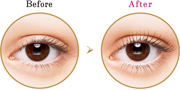 MAJOLICA MAJORCA Lash Silhouette Keeper